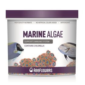 Reeflowers 1 lt Marine Algae Tuzlu Su Balık Yemi