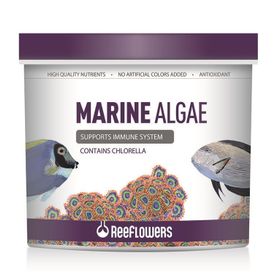 Reeflowers 1 lt Marine Algae Tuzlu Su Balık Yemi