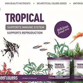 Reeflowers 1 lt Tropical Balık Yemi