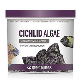 Reeflowers 150 ml Cichlid Algae Balık Yemi