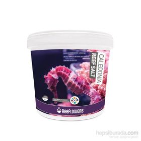Reeflowers 22.5 kg Caledonia Coral Salt