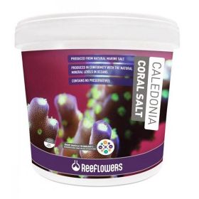 Reeflowers 22 kg Caledonia Coral Salt