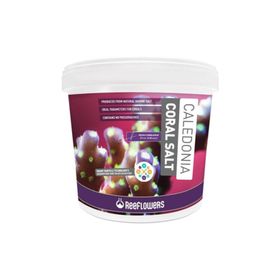 Reeflowers 22 kg Caledonia Coral Salt