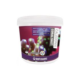 Reeflowers 22 kg Caledonia Coral Salt