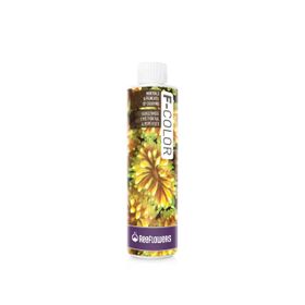 Reeflowers 250 ml F Color Tuzlu Su Mercan Renklendirici Katkı