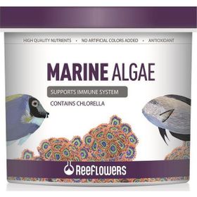 Reeflowers 250 ml Marine Algae Tuzlu Su Balık Yemi