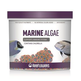 Reeflowers 250 ml Marine Algae Tuzlu Su Balık Yemi