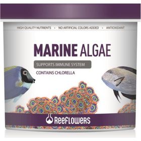 Reeflowers 250 ml Marine Algae Tuzlu Su Balık Yemi