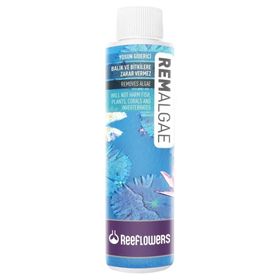 Reeflowers 250 ml Remalgae Yosun Giderici Sıvı Çözelti