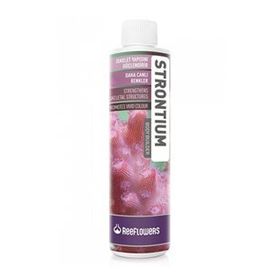 Reeflowers 250 ml Strontium Tuzlu Su Akvaryumu Mercan Katkısı