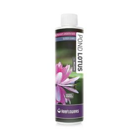 Reeflowers 3000 ml Pond Lotus All Inclusive Bitki Besini