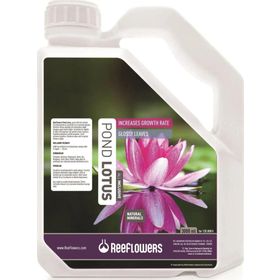 Reeflowers 3000 ml Pond Lotus All Inclusive Bitki Besini