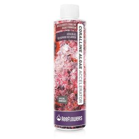 Reeflowers 500 ml Coralline Algae Accelerator Coralline Algae Besleyici