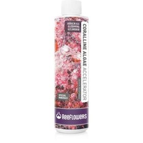 Reeflowers 500 ml Coralline Algae Accelerator