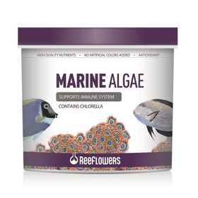 Reeflowers 500 ml Marine Algae Tuzlu Su Balık Yemi