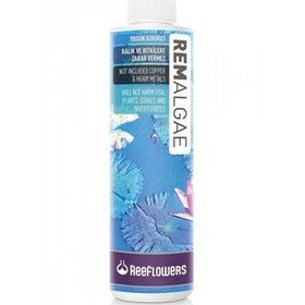 Reeflowers 500 ml Rem Algae Akvaryum Yosun Giderici
