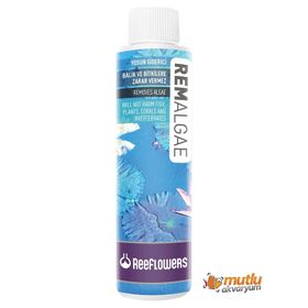 Reeflowers 500 ml Rem Algae Akvaryum Yosun Giderici