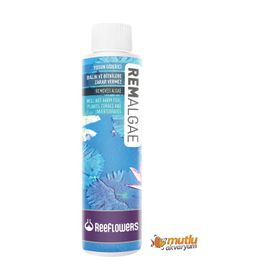 Reeflowers 500 ml Rem Algae Akvaryum Yosun Giderici