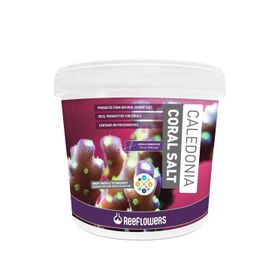 Reeflowers 6,5 kg Caledonia Coral Salt