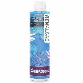 Reeflowers 85 ml Rem Algae Akvaryum Yosun Giderici