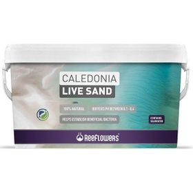 Reeflowers Caledonia Live Sand Gold 18 kg Akvaryum Kumu