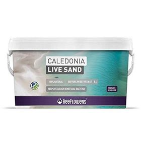 Reeflowers Caledonia Live Sand Mor 18 kg Akvaryum Kumu
