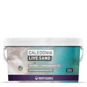 Reeflowers Caledonia Live Sand Mor 18 kg Akvaryum Kumu
