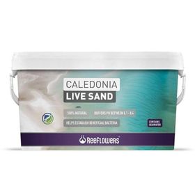 Reeflowers Caledonia Live Sand Mor 18 kg Akvaryum Kumu