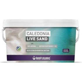 Reeflowers Caledonia Live Sand Mor 18 kg Akvaryum Kumu