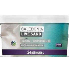 Reeflowers Caledonia Live Sand Mor 18 kg Akvaryum Kumu