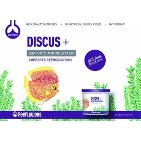 Reeflowers Discus+ 100 gr Kovadan Bölme Balık Yemi