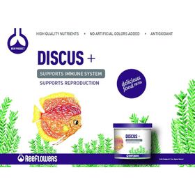 Reeflowers Discus+ 100 gr Kovadan Bölme Balık Yemi