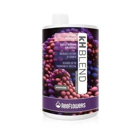 Reeflowers KH Blend-BallingSet Element 1 1000 ml Akvaryum Katkısı