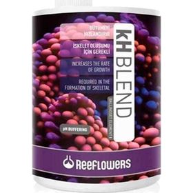 Reeflowers KH Blend-BallingSet Element 1 1000 ml Akvaryum Katkısı