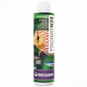 Reeflowers RemAmmonia 1000 ml Amonyak Giderici