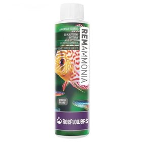 Reeflowers RemAmmonia 500 ml Amonyak Giderici