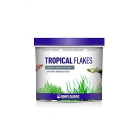 Reeflowers Tropical 8 lt Balık Yemi