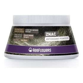 Reeflowers Znac Antioxidant Powder 150 gr Su Düzenleyici