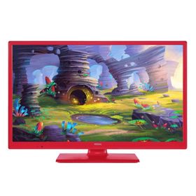 Regal 24R4015HP Pembe 24" HD Uydu Alıcılı LED TV