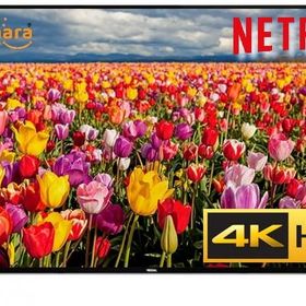 Regal 55R6020U 55" 4K Ultra HD Uydu Alıcılı Smart TV