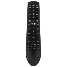 Regal RC4911 LCD LD TV Kumandası