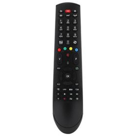 Regal RC4911 LCD LD TV Kumandası