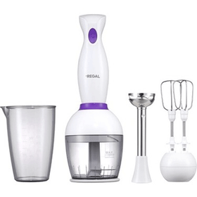 Regal REBS-1000 B Blender Seti