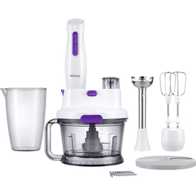 Regal RMBS 1000 B Blender