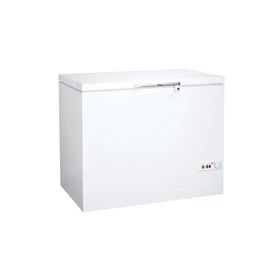 Regal SD 3011 275 lt Sandık Tipi Derin Dondurucu