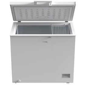 Regal SD Dual 2021 Sandık Tipi Derin Dondurucu