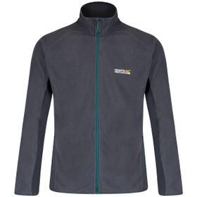 Regatta Ashton Gri Erkek Polar