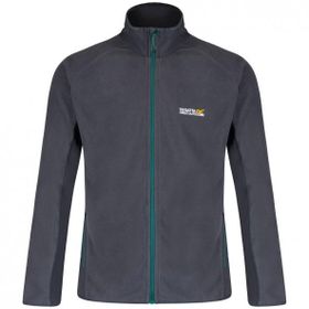 Regatta Ashton Gri Erkek Polar