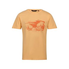 Regatta Cline VII Turuncu Erkek T-shirt