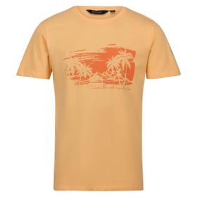 Regatta Cline VII Turuncu Erkek T-shirt